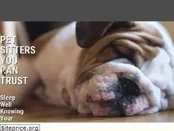Sites similar to houstonsbestpetsitters.com