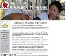 Sites similar to houstonwingtsun.com