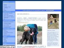 Sites similar to hovawarty.com.pl