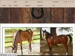 Sites similar to howeyhorsehavenrescue.org