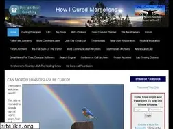 Sites similar to howicuredmorgellons.com