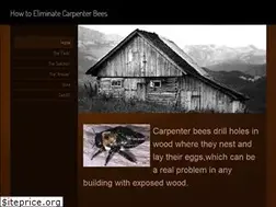 Sites similar to howtoeliminatecarpenterbees.com