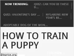 Sites similar to howtohousetrainapuppy.net