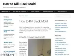 Sites similar to howtokillblackmold.com