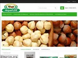 Sites similar to hoydi28findik.com