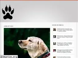 Sites similar to hr.happyvalentinesday2016i.com