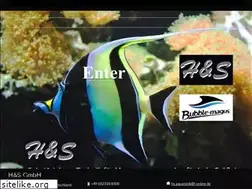 Sites similar to hs-aquaristik.de