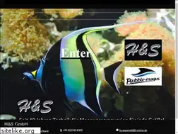 Sites similar to hsaquaristik.de
