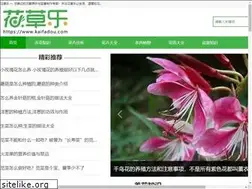 Sites similar to hserxiao.com
