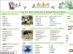 Sites similar to huaniaowang.com