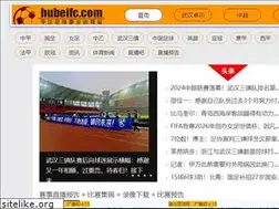 Sites similar to hubeifc.com
