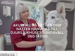Sites similar to hudiksvallssmadjursklinik.se