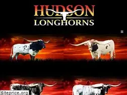 Sites similar to hudsonlonghorns.com