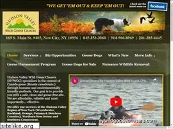 Sites similar to hudsonvalleywildgoosechasers.com