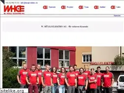 Sites similar to huegli-elektro.ch