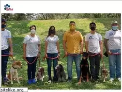 Sites similar to huellasadiestramientocanino.com