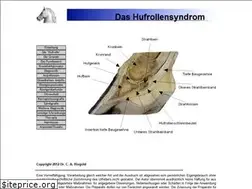 Sites similar to hufrollensyndrom.de