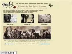 Sites similar to hugofirx.com