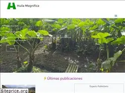 Sites similar to huilamagnifica.com