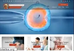 Sites similar to hulusizeyneloglu.com