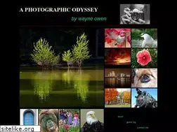 Sites similar to humabout.net