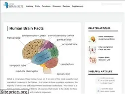 Sites similar to humanbrainfacts.org