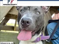 Sites similar to humanesocietyofsoutheasttexas.org