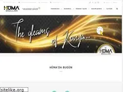 Sites similar to humaokullari.com