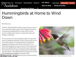 Sites similar to hummingbirdsathome.org