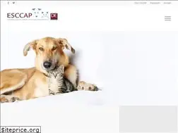 Sites similar to hund-katze-wuermer.de