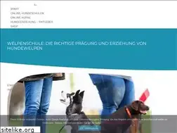 Sites similar to hundeerziehung-welpenerziehung.de