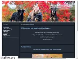 Sites similar to hundefee.eu