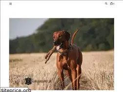 Sites similar to hundehalsband-leder.com