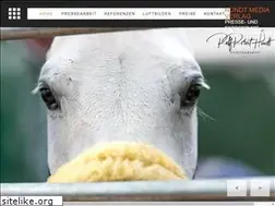 Sites similar to hundt-media.de