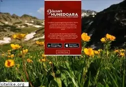 Sites similar to hunedoaraturism.ro