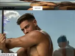 Sites similar to hunkmenswear.com