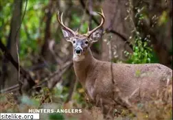 Sites similar to hunters-anglers.org
