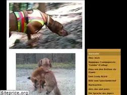 Sites similar to hunting-vizsla.de