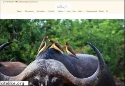 Sites similar to huntinginafricasafaris.com