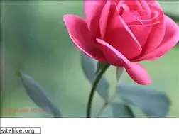 Sites similar to huongson.com.vn