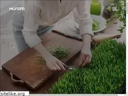 Sites similar to hurompolska.pl