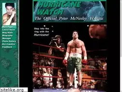 Sites similar to hurricanepetermcneeley.com