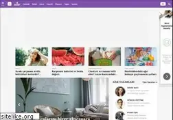 Sites similar to hurriyetaile.com