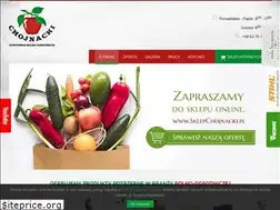 Sites similar to hurtowniachojnacki.pl