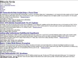 Sites similar to huseyinsevin.com