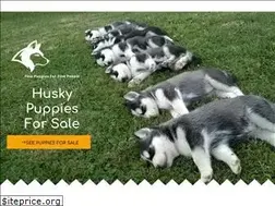 Sites similar to huskypuppies-forsale.com