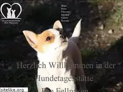 Sites similar to huta-fellnasen.de
