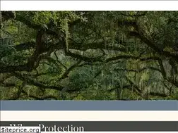 Sites similar to hutchinsontraylor.com