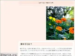 Sites similar to hydeparkmedia.com