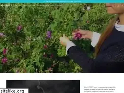 Sites similar to hysses.com